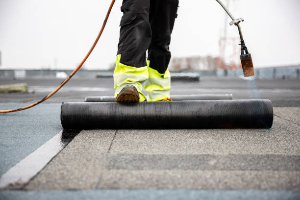 Best Chimney Flashing Repair  in Walnut Ridge, AR