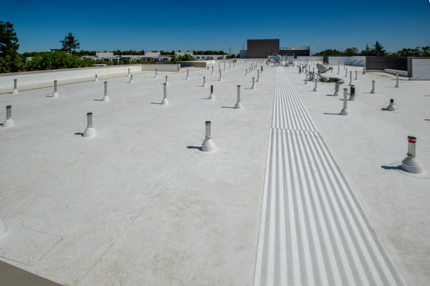 Best Roof Leak Repair  in Walnut Ridge, AR